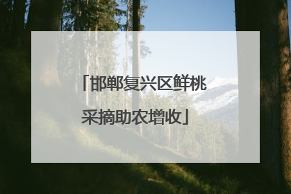 邯郸复兴区鲜桃采摘助农增收