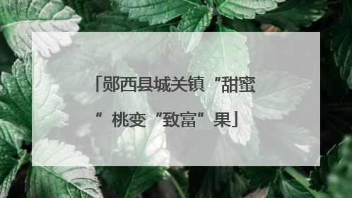 郧西县城关镇“甜蜜”桃变“致富”果