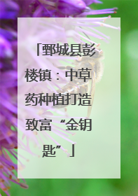 鄄城县彭楼镇：中草药种植打造致富“金钥匙”