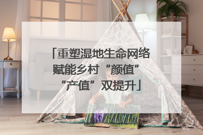 重塑湿地生命网络 赋能乡村“颜值”“产值”双提升