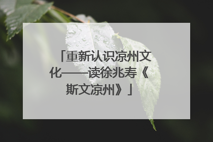 重新认识凉州文化——读徐兆寿《斯文凉州》