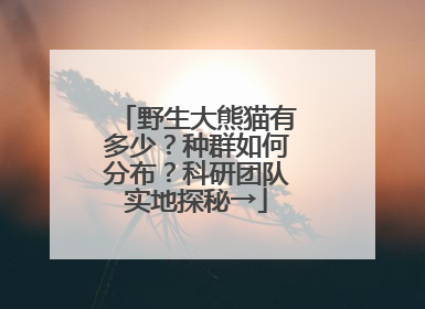野生大熊猫有多少？种群如何分布？科研团队实地探秘→