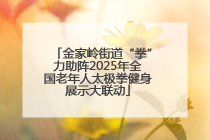 金家岭街道“拳”力助阵2025年全国老年人太极拳健身展示大联动