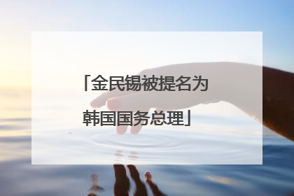 金民锡被提名为韩国国务总理