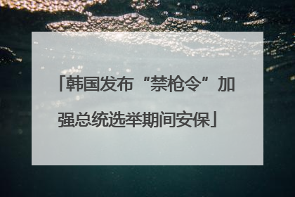 韩国发布“禁枪令”加强总统选举期间安保