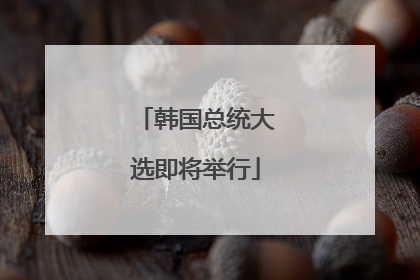 韩国总统大选即将举行