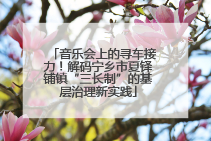 音乐会上的寻车接力！解码宁乡市夏铎铺镇“三长制”的基层治理新实践