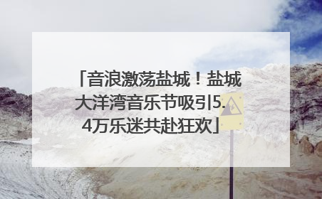 音浪激荡盐城！盐城大洋湾音乐节吸引5.4万乐迷共赴狂欢