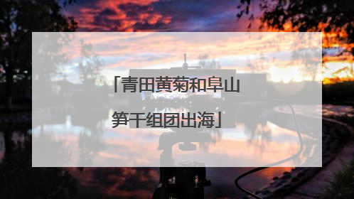 青田黄菊和阜山笋干组团出海