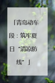 青岛动车段：筑牢夏日“清凉防线”