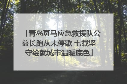 青岛斑马应急救援队公益长跑从未停歇 七载坚守绘就城市温暖底色