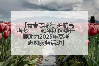 青春志愿行 护航高考梦——和平团区委开展助力2025年高考志愿服务活动