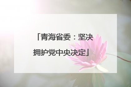 青海省委：坚决拥护党中央决定