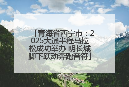 青海省西宁市：2025大通半程马拉松成功举办 明长城脚下跃动奔跑音符