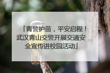 青警护苗，平安启程！武汉青山交警开展交通安全宣传进校园活动