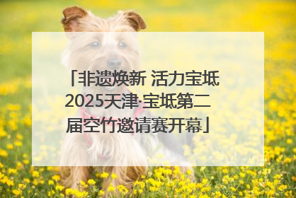 非遗焕新 活力宝坻 2025天津·宝坻第二届空竹邀请赛开幕
