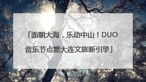 面朝大海，乐动中山！DUO音乐节点燃大连文旅新引擎