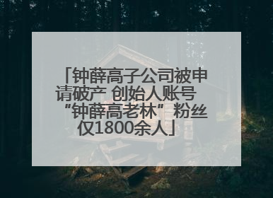 钟薛高子公司被申请破产 创始人账号“钟薛高老林”粉丝仅1800余人
