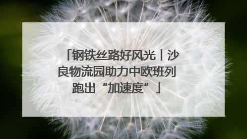 钢铁丝路好风光丨沙良物流园助力中欧班列跑出“加速度”