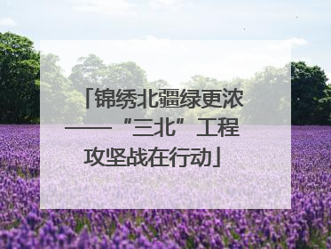锦绣北疆绿更浓——“三北”工程攻坚战在行动