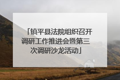 镇平县法院组织召开调研工作推进会暨第三次调研沙龙活动