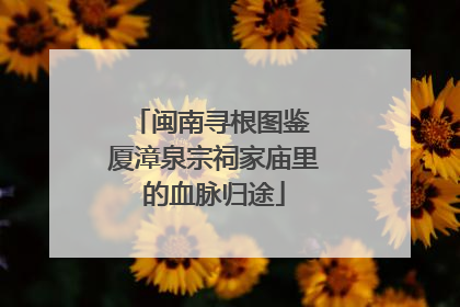 闽南寻根图鉴 厦漳泉宗祠家庙里的血脉归途