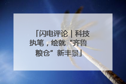 闪电评论｜科技执笔，绘就“齐鲁粮仓”新丰景