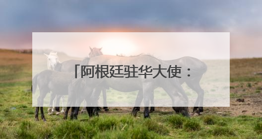 阿根廷驻华大使：发展中国家以中国模式为范本应对挑战