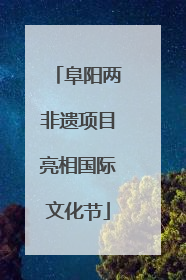 阜阳两非遗项目亮相国际文化节