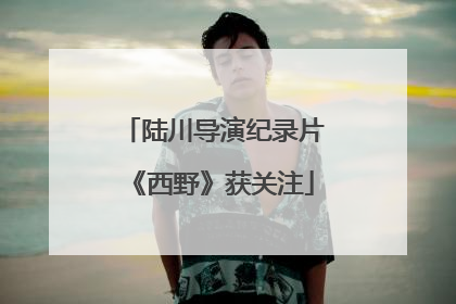 陆川导演纪录片《西野》获关注