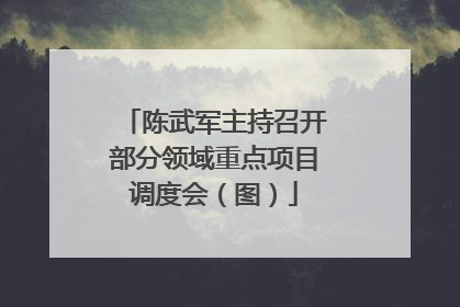 陈武军主持召开部分领域重点项目调度会（图）