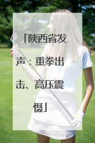 陕西省发声：重拳出击、高压震慑