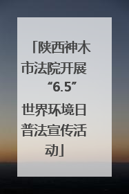 陕西神木市法院开展“6.5”世界环境日普法宣传活动