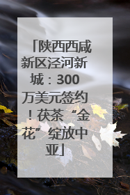 陕西西咸新区泾河新城：300万美元签约！茯茶“金花”绽放中亚