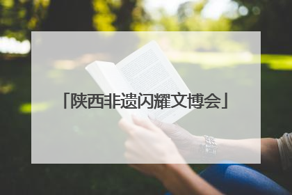 陕西非遗闪耀文博会