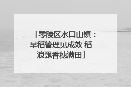 零陵区水口山镇：早稻管理见成效 稻浪飘香穗满田