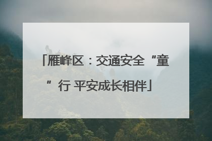 雁峰区：交通安全“童”行 平安成长相伴