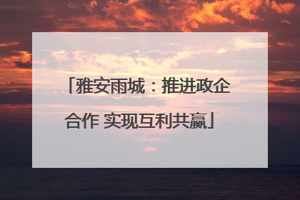 雅安雨城：推进政企合作 实现互利共赢