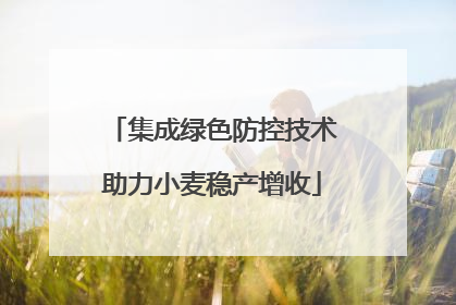 集成绿色防控技术助力小麦稳产增收