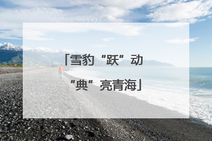 雪豹“跃”动 “典”亮青海