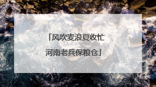 风吹麦浪夏收忙 河南老兵保粮仓