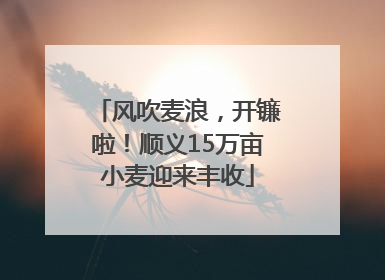 风吹麦浪，开镰啦！顺义15万亩小麦迎来丰收
