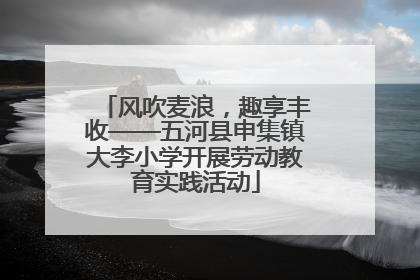 风吹麦浪，趣享丰收——五河县申集镇大李小学开展劳动教育实践活动