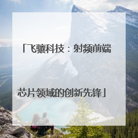 飞骧科技：射频前端芯片领域的创新先锋