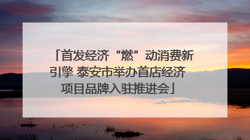 首发经济“燃”动消费新引擎 泰安市举办首店经济项目品牌入驻推进会