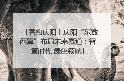 香约庆阳丨庆阳“东数西算”布局未来赛道：智算时代 绿色领航