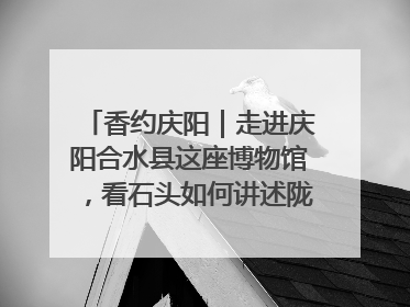 香约庆阳｜走进庆阳合水县这座博物馆，看石头如何讲述陇东千年历史