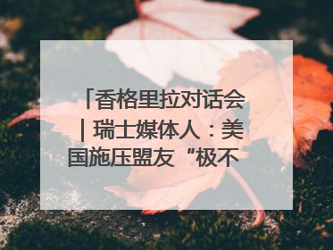 香格里拉对话会｜瑞士媒体人：美国施压盟友“极不理性” 欧洲国家无意与中国“脱钩断链”