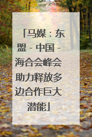 马媒：东盟－中国－海合会峰会助力释放多边合作巨大潜能
