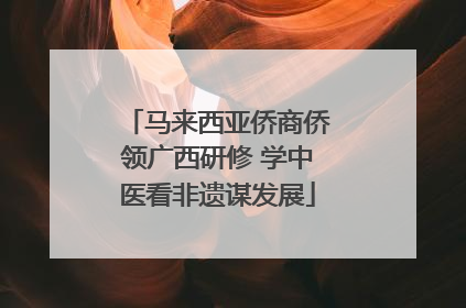 马来西亚侨商侨领广西研修 学中医看非遗谋发展